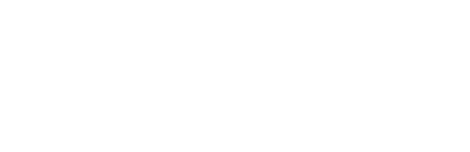 logo light